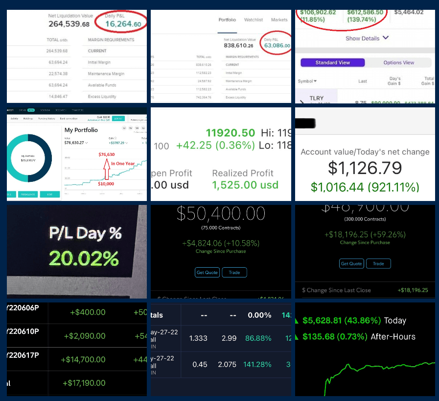 Profit Results